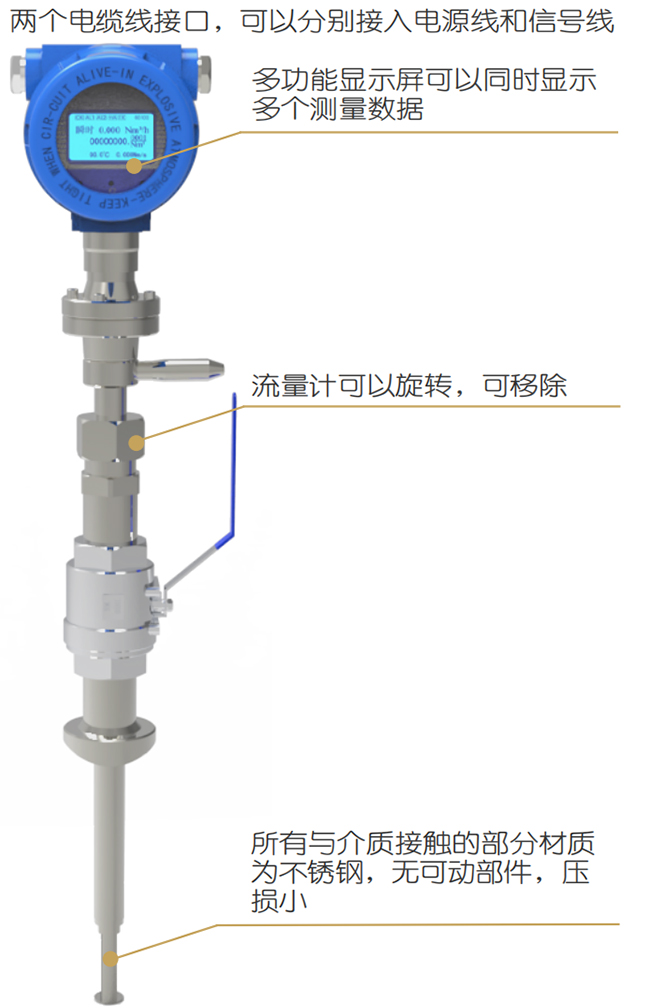 熱式氣體質(zhì)量流量計(jì)結(jié)構(gòu)圖